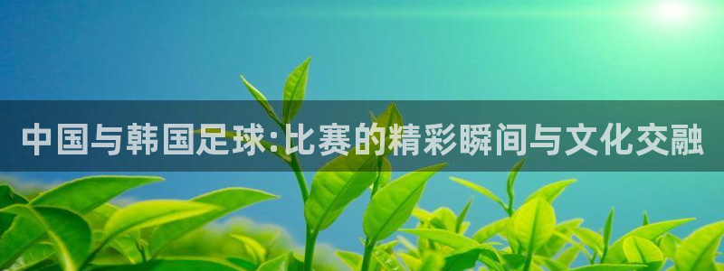 中国与韩国足球:比赛的精彩瞬间与文化交融