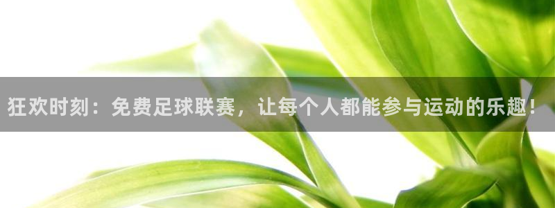 狂欢时刻：免费足球联赛，让每个人都能参与运动的乐趣！