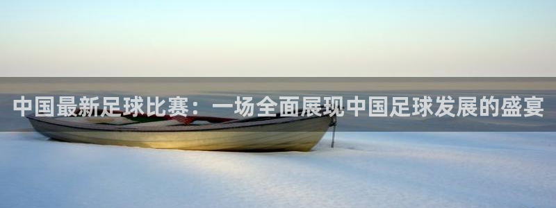 中国最新足球比赛：一场全面展现中国足球发展的盛宴