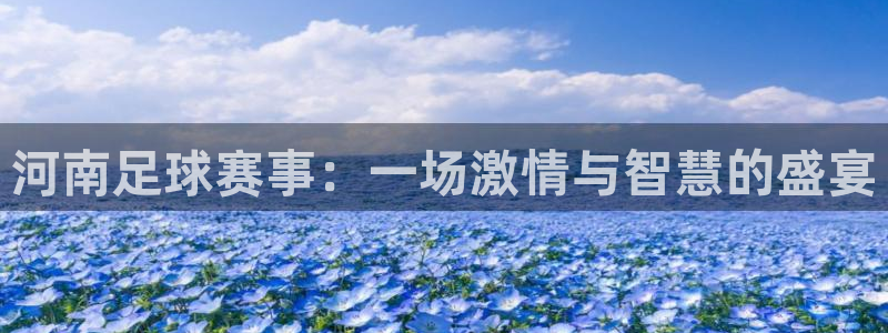 河南足球赛事：一场激情与智慧的盛宴