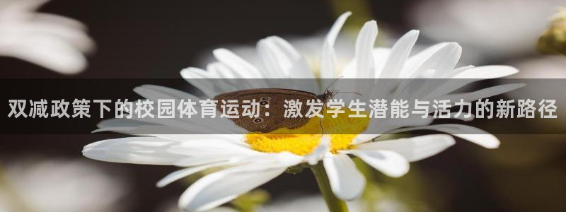 3377体育网页登录入口：双减政策下的校园体育运动：激发学生潜能与活力的新路径