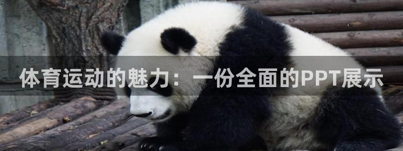 3377体育是正规的吗：体育运动的魅力：一份全面的PPT展示