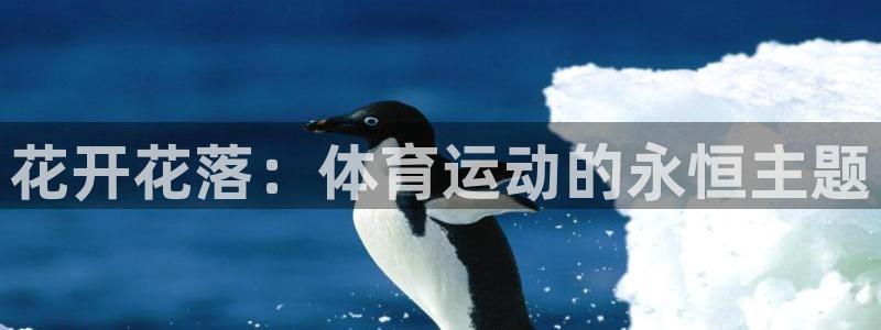 3377体育官网入口网页版：花开花落：体育运动的永恒主题