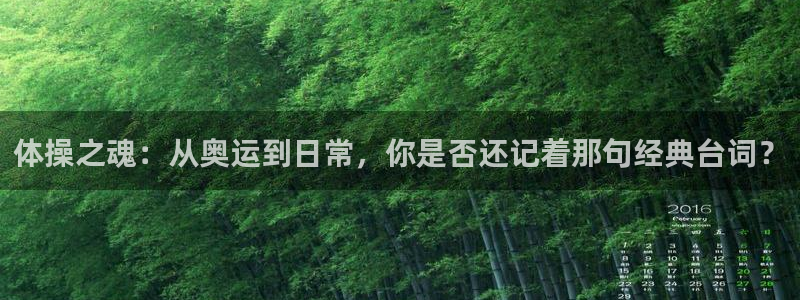 3377体育app下载安装：体操之魂：从奥运到日常，你是否还记着那句经典台词？