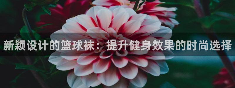3377体育官网入口网页版：新颖设计的篮球袜：提升健身效果的时尚选择
