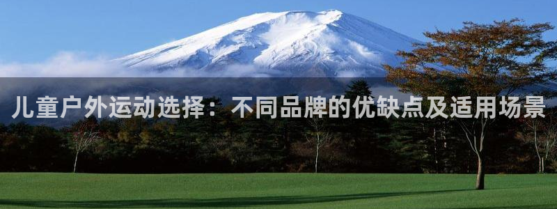 3377体育在线登录官网入口：儿童户外运动选择：不同品牌的优缺点及适用场景