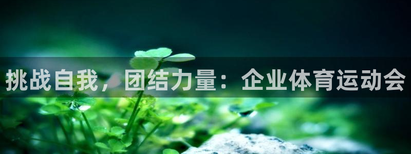 3377体育官网入口网页版：挑战自我，团结力量：企业体育运动会