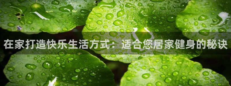 3377体育(中国)官方网站：在家打造快乐生活方式：适合您居家健身的秘诀