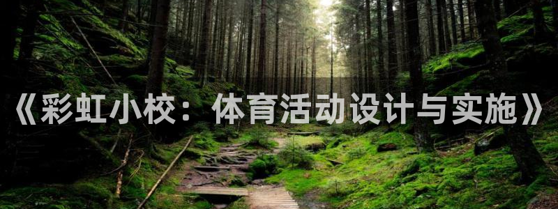 3377体育是正规平台吗：《彩虹小校：体育活动设计与实施》