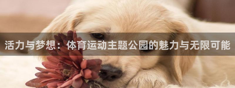 3377体育在线登录官网入口：活力与梦想：体育运动主题公园的魅力与无限可能