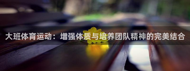 3377体育官方app下载：大班体育运动：增强体质与培养团队精神的完美结合