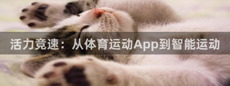 3377体育在线登录官网入口：活力竞速：从体育运动App到智能运动