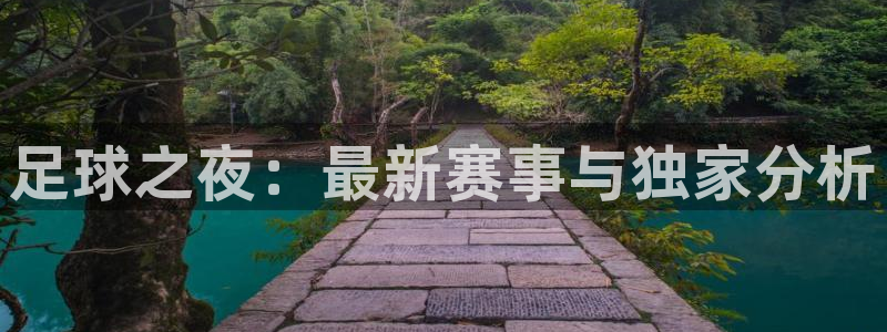 足球之夜：最新赛事与独家分析