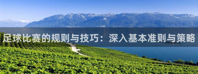 足球比赛的规则与技巧：深入基本准则与