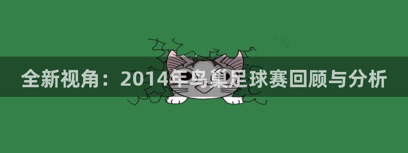 全新视角：2014年鸟巢足球赛回顾与