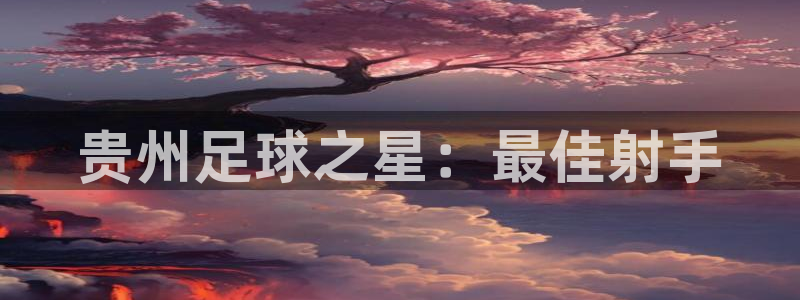 贵州足球之星：最佳射手