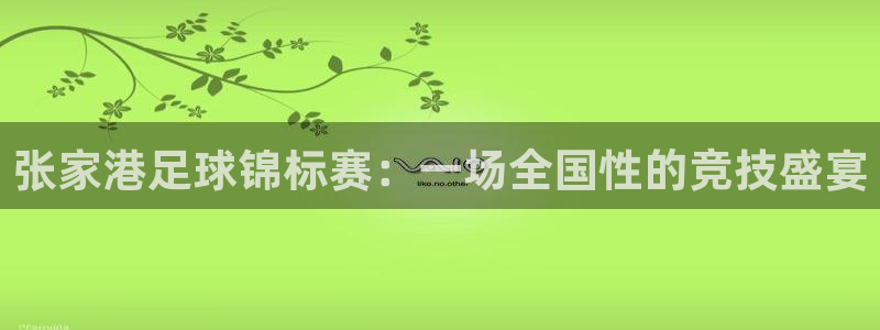 张家港足球锦标赛：一场全国性的竞技盛