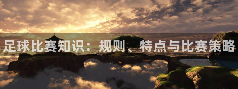 足球比赛知识:规则、特点与比赛策略