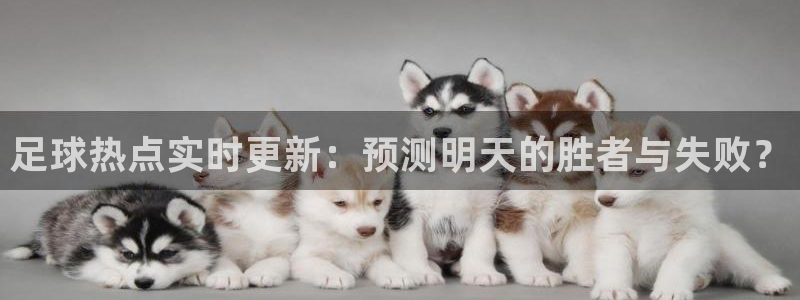 足球热点实时更新:预测明天的胜者与失败?