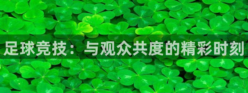 足球竞技:与观众共度的精彩时刻
