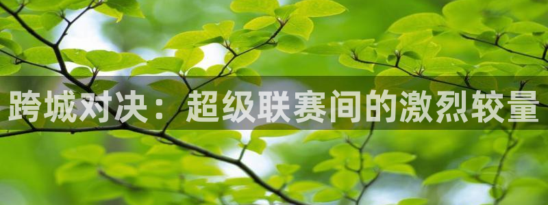 跨城对决:超级联赛间的激烈较量