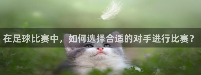 在足球比赛中,如何选择合适的对手进行比赛?