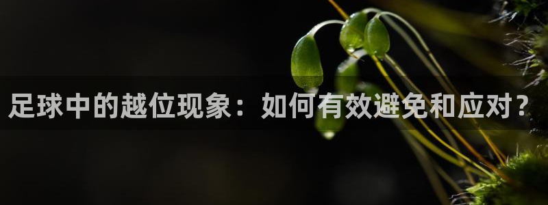 足球中的越位现象:如何有效避免和应对?