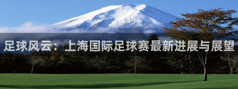 足球风云：上海国际足球赛最新进展与展