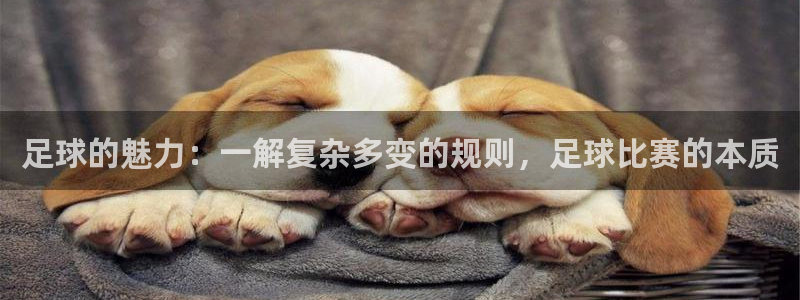 足球的魅力:一解复杂多变的规则,足球比赛的本质