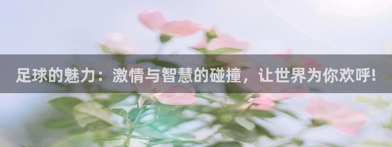  足球的魅力：激情与智慧的碰撞，让世界为你欢呼!