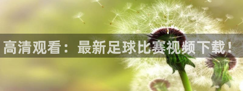 高清观看：最新足球比赛视频下载！