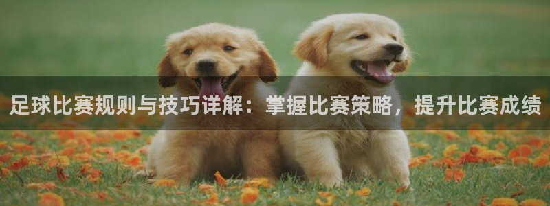  足球比赛规则与技巧详解：掌握比赛策略，提升比赛成绩
